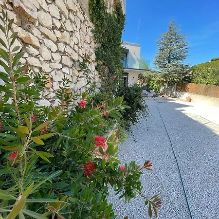 Bestouan Cassis
